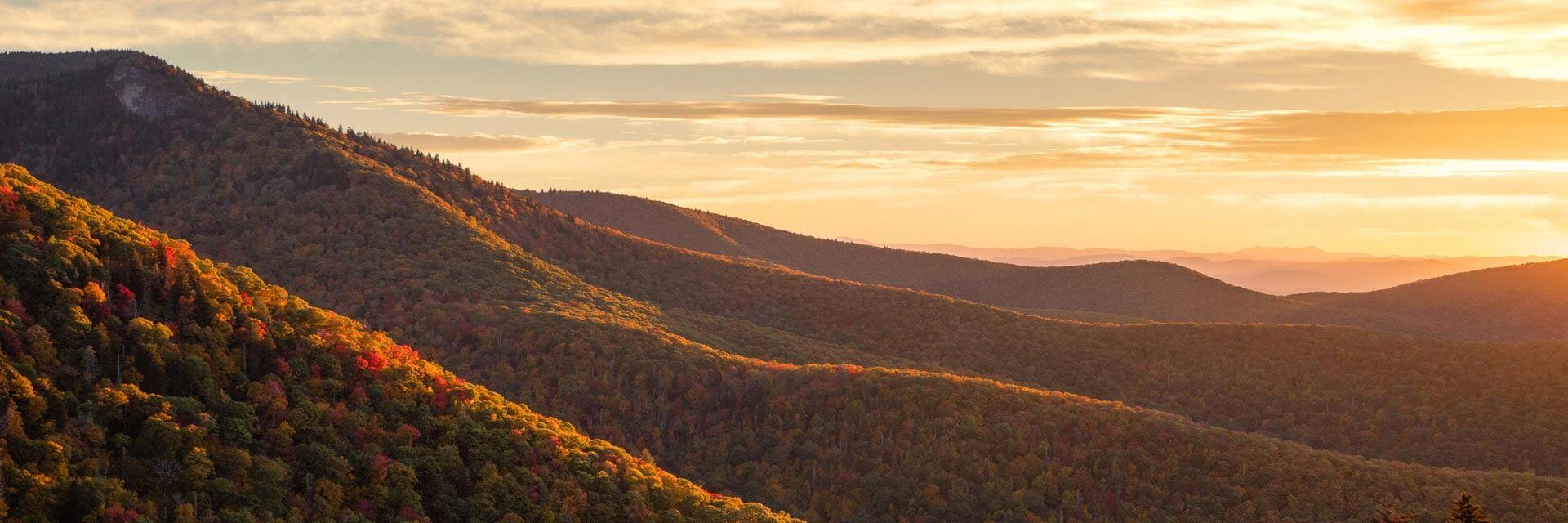 Thank You To Our Donors